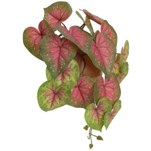Red Caladium 35cm Artificial Plant Flower Arrangement Decorative In Luxe Pot