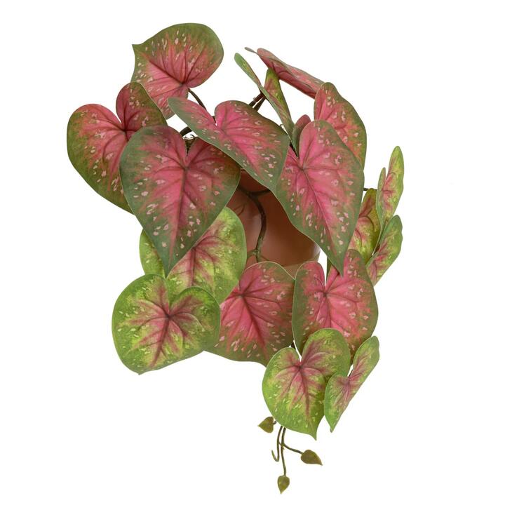 Red Caladium 35cm Artificial Plant Flower Arrangement Decorative In Luxe Pot