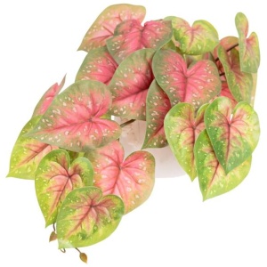 Red Caladium Bush 46cm Artificial Faux Plant Decorative In Pot