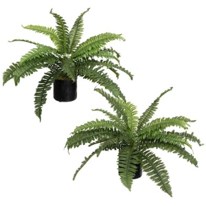 Set Of 2 Boston Fern Artificial Fake Plant Decorative In Pot - Green
