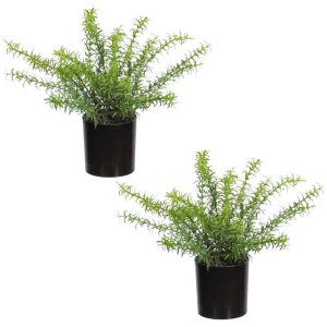 Set Of 2 Rosemary Artificial Faux Plant Decorative In Green