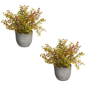 Set Of 2 Shell Bush Artificial Plant Flower Arrangement Decorative In Pot