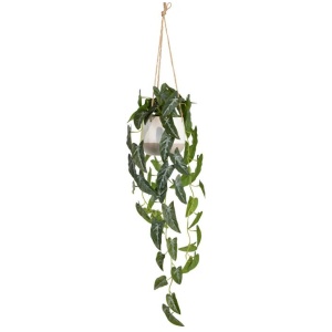 Syngonium 105cm Artificial Plant Flower Arrangement Decorative In Hanging Planter