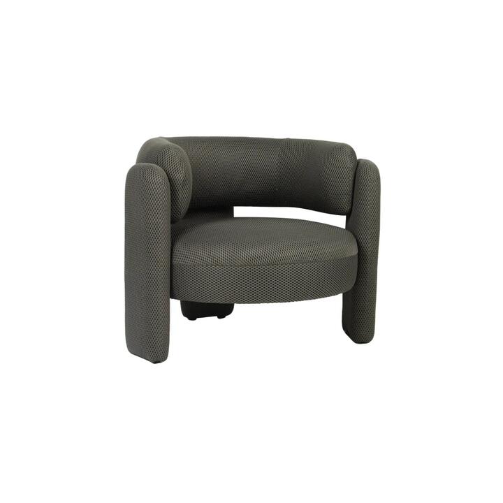 Tasa Mesh Fabric Occasional Armchair Accent Lounge Chair Fern