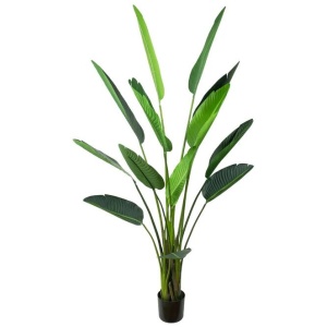 Traveller Palm Tree Artificial Fake Plant Decorative 185cm In Pot - Green