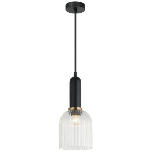 VINTAJ Pendant Lamp Light Interior ES Clear Glass Ellipse OD140mm