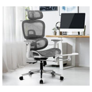 Wyndell Mesh Executive Ergonomic Office Chair Grey
