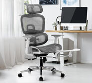 Wyndell Mesh Executive Ergonomic Office Chair Grey