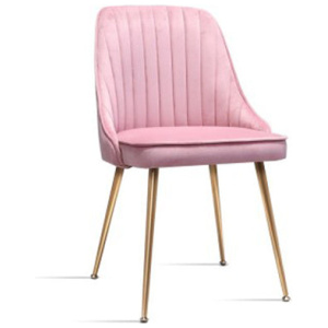 2Pcs Artiss Dining Chairs Modern Iron Legs Velvet