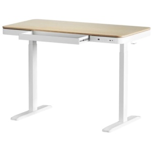 Artiss Standing Desk Motorised Electric Dual Motor Draw 120CM Oak