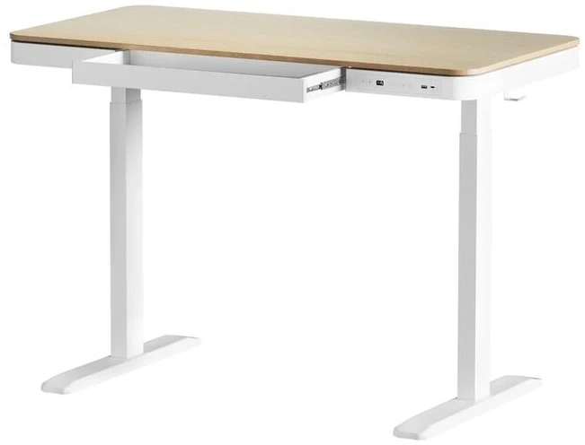 Artiss Standing Desk Motorised Electric Dual Motor Draw 120CM Oak