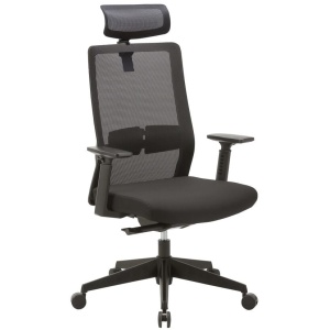 Bryce Mesh Ergonomic Office Chair with Headrest - Black by Interior Secrets - AfterPay Available