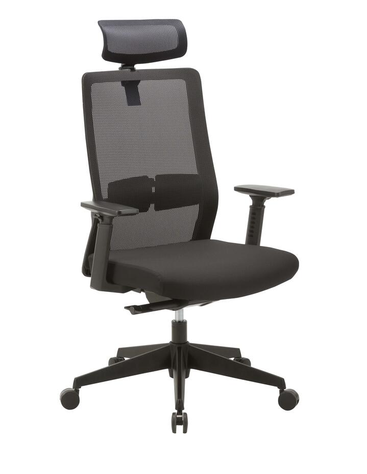 Bryce Mesh Ergonomic Office Chair with Headrest - Black by Interior Secrets - AfterPay Available