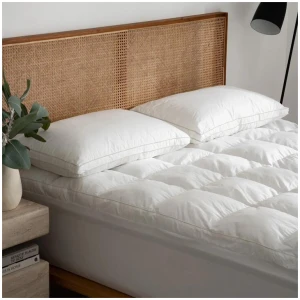 Hotel Cloud Collection™ Luxury 5 Star Hotel Pillows Set, Standard