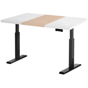 Standing Desk Motorised Electric Dual Motor 120CM