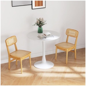 CostwaySet of 2 Rattan Dining Chairs with Simulated Rattan Backrest for Dining Room