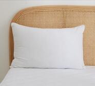 Dreamaker 48 X 73Cm European Pillow White