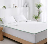 Dreamaker King Antimicrobial Electric Throw Blanket White