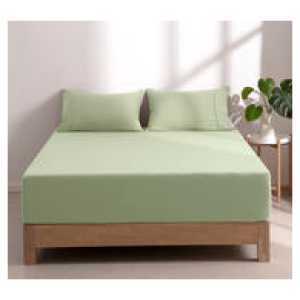 Dreamaker Superfine Microfibre Queen Sage Fitted Sheet Set Green