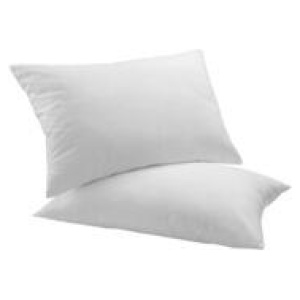 Set Of 2 Goose Feather & Down Pillows White