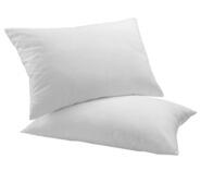 Set Of 2 Goose Feather & Down Pillows White