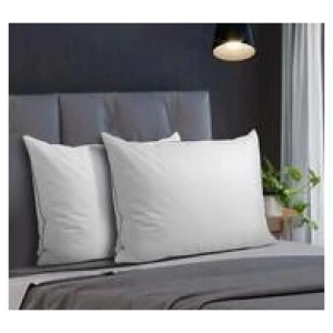 Set Of 2 Kaleb Duck Feather & Down Pillows White