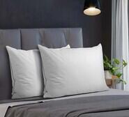 Set Of 2 Kaleb Duck Feather & Down Pillows White