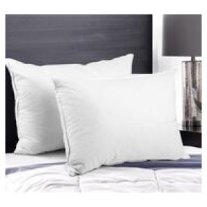 Set Of 2 Teressa Goose Feather Down Pillow White