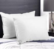 Set Of 2 Teressa Goose Feather Down Pillow White