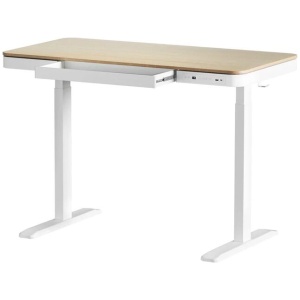 Artiss Standing Desk Motorised Electric Dual Motor Draw 120CM Oak