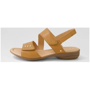 Bills Dark Tan Gum Leather Sandals