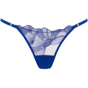 Bluebella Adeline Brief Sheer/Surf the Web Blue - 18