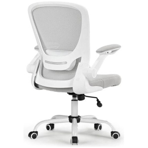 Eureka OC06 ONYX Ergonomic Home/Office Chair GY