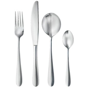 Orion 16 Piece Stainless Steel Cutlery Set by Ambrosia