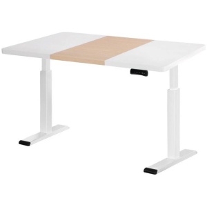 Standing Desk Motorised Dual Motor 120CM