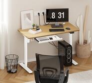 Eira White & Oak Standing Desk White