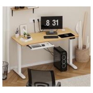 Elirae White & Oak Standing Desk White