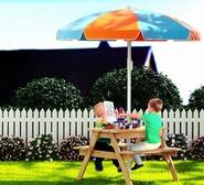 Quani Kids Outdoor Picnic Table & Chairs Set Brown