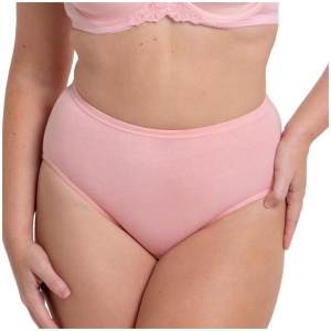 Sloggi Women's Hikini 2 Pack Briefs