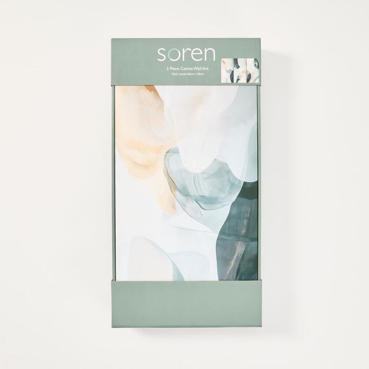 Soren Abstract 3 Piece Canvas Wall Art