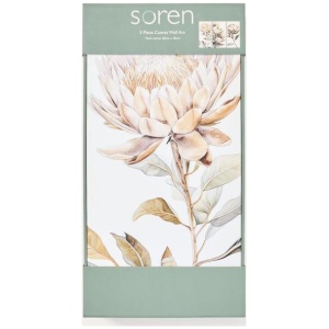 Soren Protea 3 Piece Canvas Wall Art