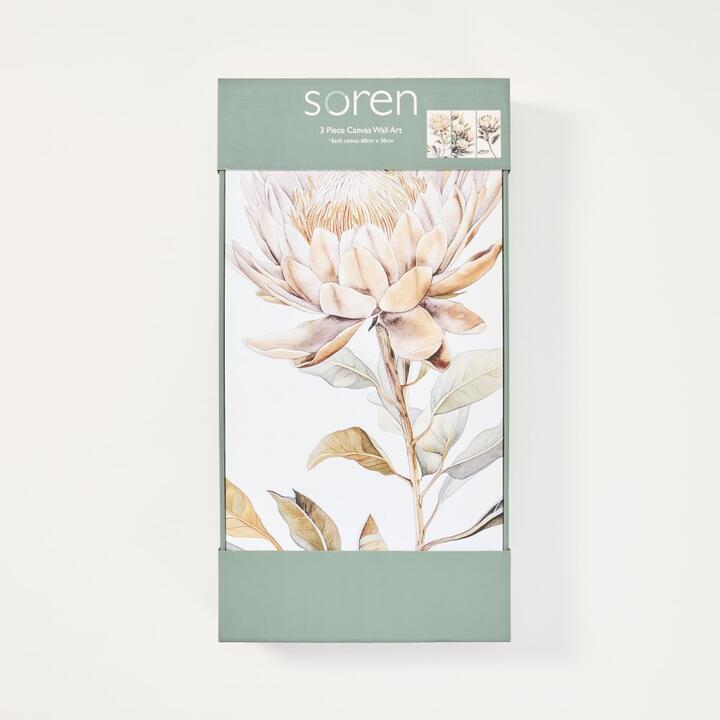 Soren Protea 3 Piece Canvas Wall Art