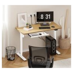 Tiara White & Oak Standing Desk White