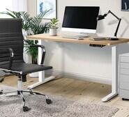 Wendie 160Cm White & Natural Electric Standing Desk Neutral